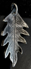 Folium Aeternum