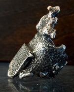 Signum Invictum