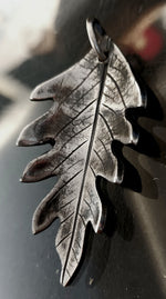 Folium Aeternum