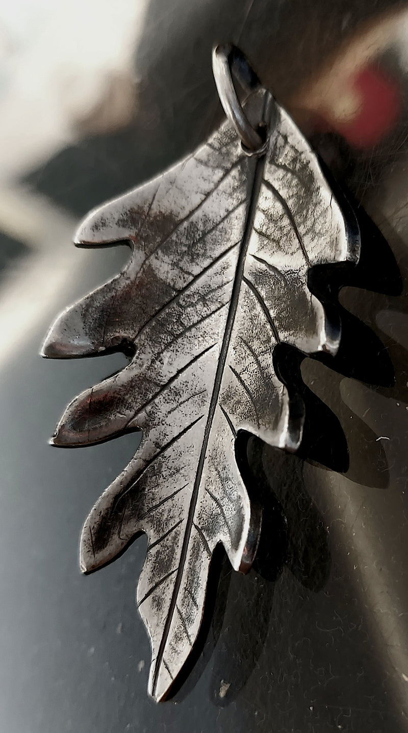 Folium Aeternum