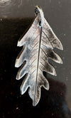 Folium Aeternum