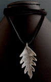 Folium Aeternum