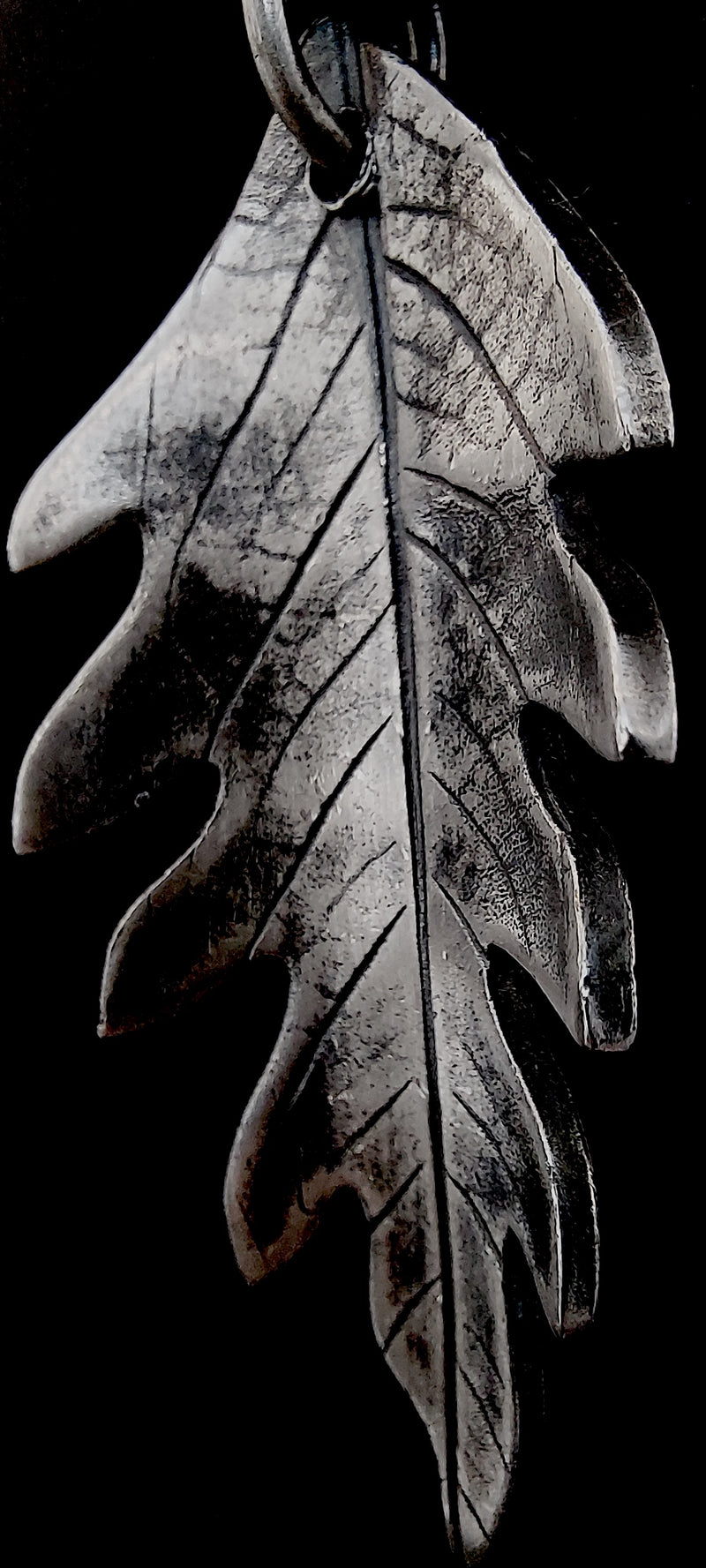 Folium Aeternum