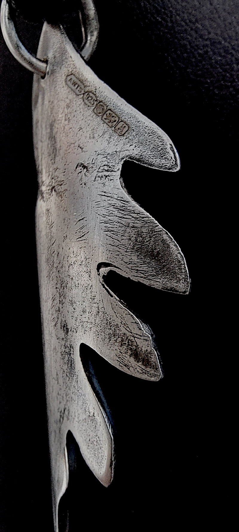 Folium Aeternum