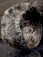 Gravis Manus