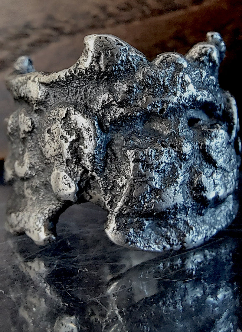 Silentium Ruinarum