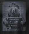Mr Bear